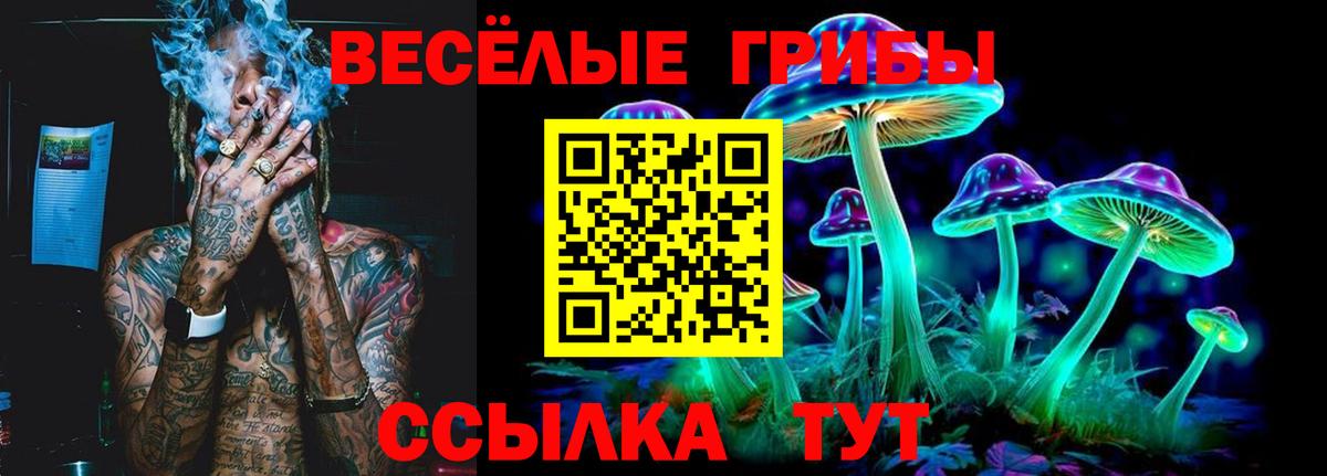 Псилоцибиновые грибы Psilocybe Зерноград