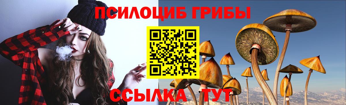 Галлюциногенные грибы GOLDEN TEACHER  Вход с VPN  Зерноград 